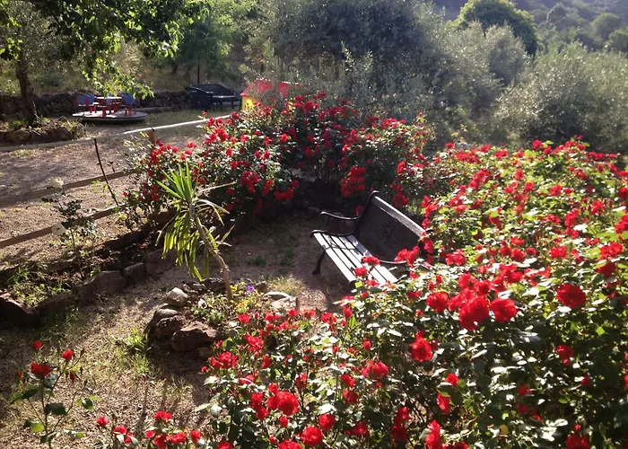 Agriturismo Al Poggetto
