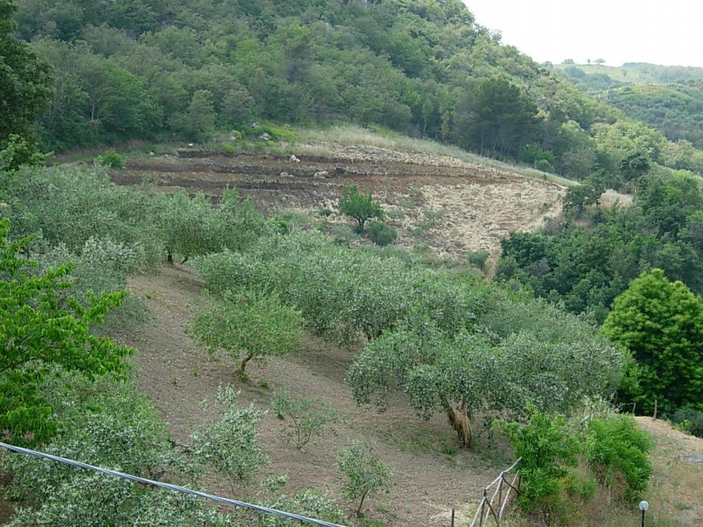 Agriturismo Al Poggetto * Piana Degli Albanesi