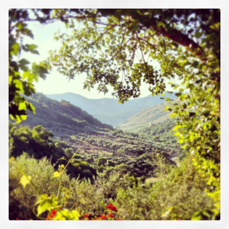 Agriturismo Al Poggetto Alojamento de Turismo Rural Piana Degli Albanesi