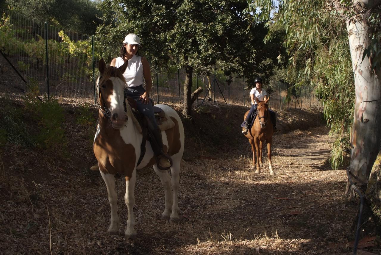 Farm stay Agriturismo Al Poggetto