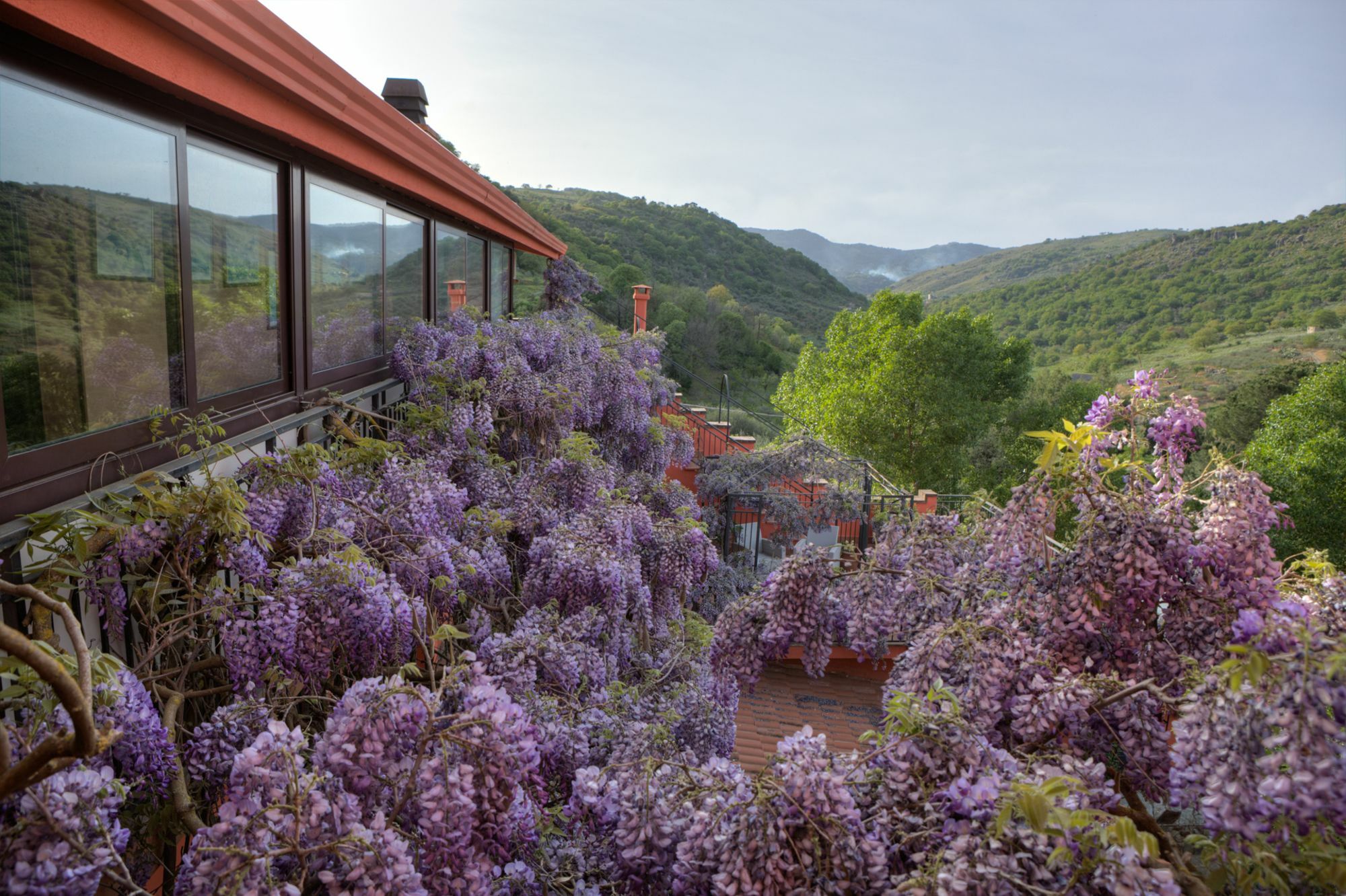 Alojamento de Turismo Rural Agriturismo Al Poggetto Piana Degli Albanesi